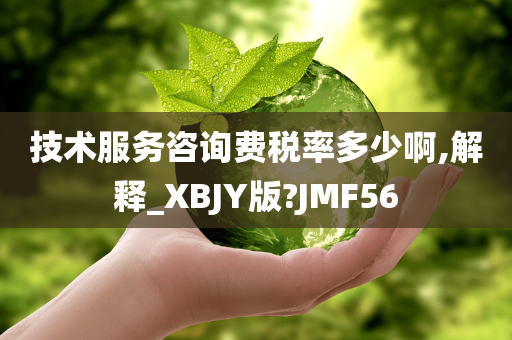 技术服务咨询费税率多少啊,解释_XBJY版?JMF56