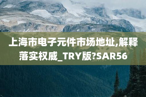 上海市电子元件市场地址,解释落实权威_TRY版?SAR56