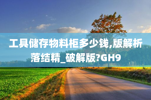 工具储存物料柜多少钱,版解析落结精_破解版?GH9