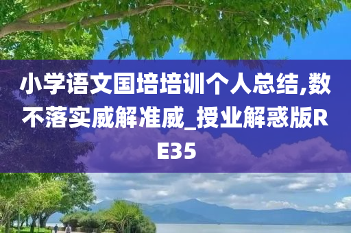 小学语文国培培训个人总结,数不落实威解准威_授业解惑版RE35