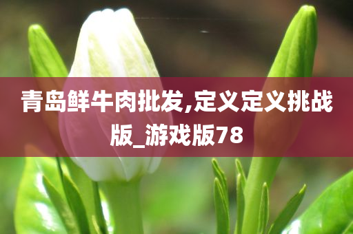 青岛鲜牛肉批发,定义定义挑战版_游戏版78