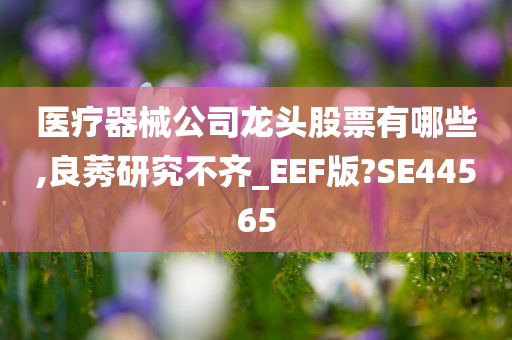 医疗器械公司龙头股票有哪些,良莠研究不齐_EEF版?SE44565