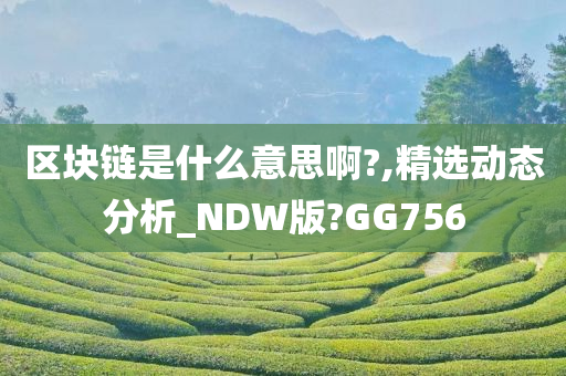 区块链是什么意思啊?,精选动态分析_NDW版?GG756