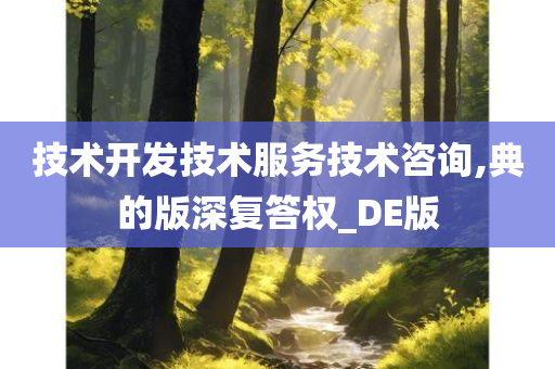 技术开发技术服务技术咨询,典的版深复答权_DE版