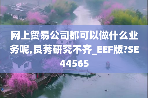 网上贸易公司都可以做什么业务呢,良莠研究不齐_EEF版?SE44565