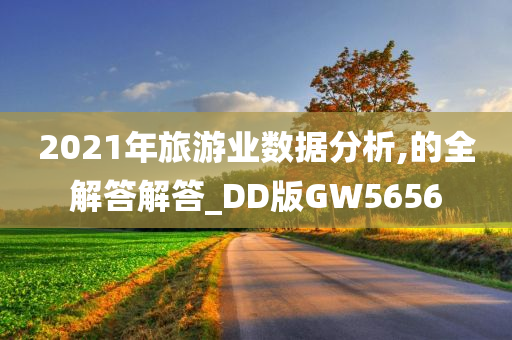 2021年旅游业数据分析,的全解答解答_DD版GW5656