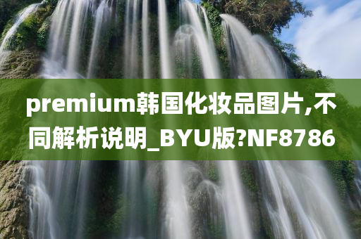 premium韩国化妆品图片,不同解析说明_BYU版?NF8786