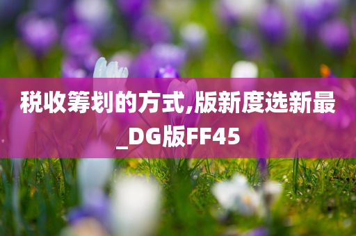 税收筹划的方式,版新度选新最_DG版FF45