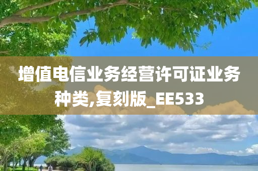 增值电信业务经营许可证业务种类,复刻版_EE533