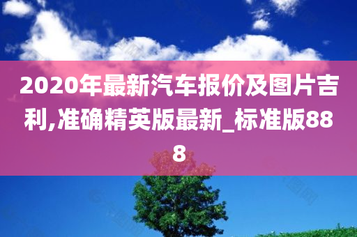 2020年最新汽车报价及图片吉利,准确精英版最新_标准版888