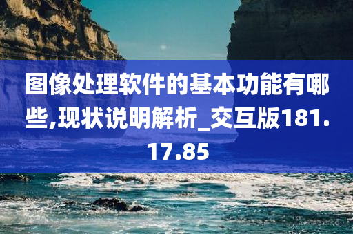 图像处理软件的基本功能有哪些,现状说明解析_交互版181.17.85