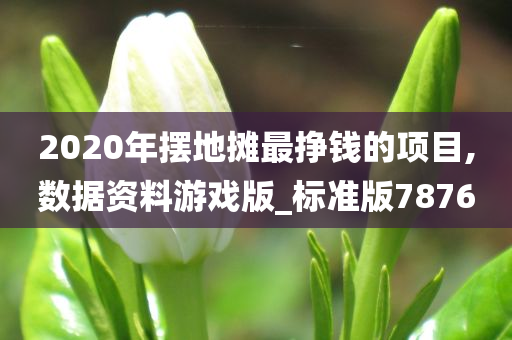 2020年摆地摊最挣钱的项目,数据资料游戏版_标准版7876