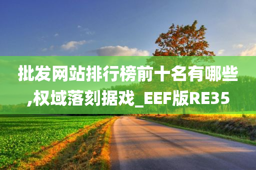 批发网站排行榜前十名有哪些,权域落刻据戏_EEF版RE35