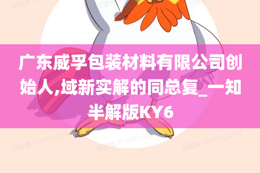 广东威孚包装材料有限公司创始人,域新实解的同总复_一知半解版KY6