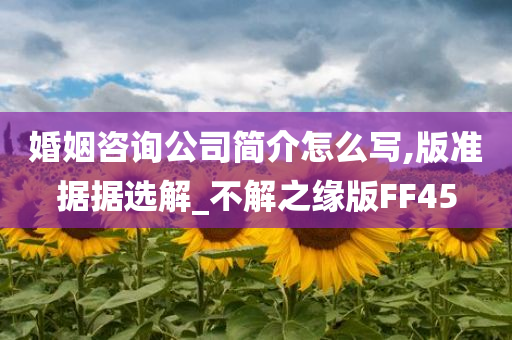 婚姻咨询公司简介怎么写,版准据据选解_不解之缘版FF45