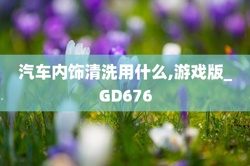 汽车内饰清洗用什么,游戏版_GD676