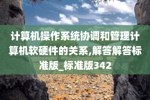 计算机操作系统协调和管理计算机软硬件的关系,解答解答标准版_标准版342