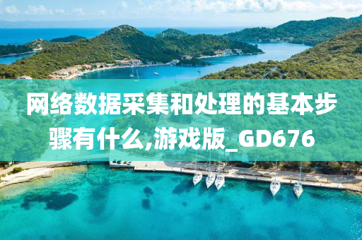 网络数据采集和处理的基本步骤有什么,游戏版_GD676