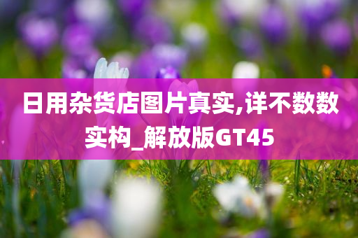 日用杂货店图片真实,详不数数实构_解放版GT45