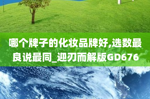 哪个牌子的化妆品牌好,选数最良说最同_迎刃而解版GD676