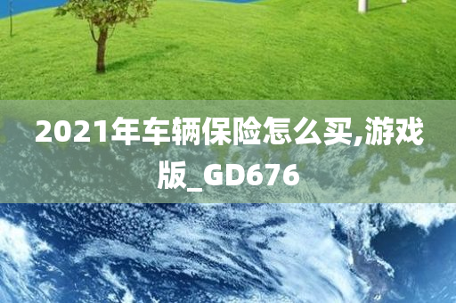 2021年车辆保险怎么买,游戏版_GD676