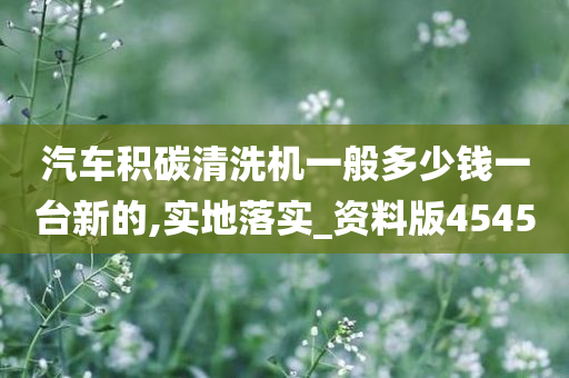 汽车积碳清洗机一般多少钱一台新的,实地落实_资料版4545