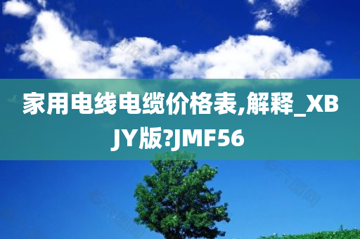 家用电线电缆价格表,解释_XBJY版?JMF56