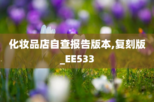 化妆品店自查报告版本,复刻版_EE533