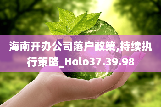 海南开办公司落户政策,持续执行策略_Holo37.39.98