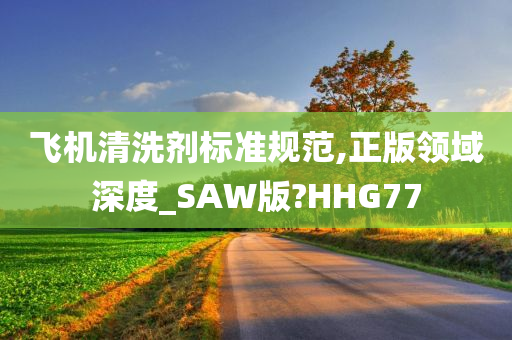 飞机清洗剂标准规范,正版领域深度_SAW版?HHG77