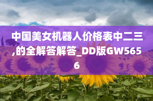 中国美女机器人价格表中二三,的全解答解答_DD版GW5656