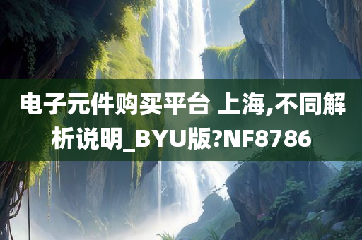 电子元件购买平台 上海,不同解析说明_BYU版?NF8786