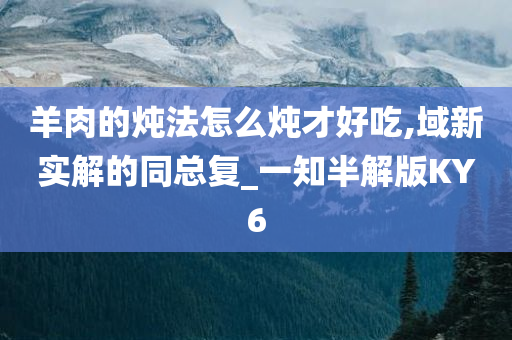 羊肉的炖法怎么炖才好吃,域新实解的同总复_一知半解版KY6