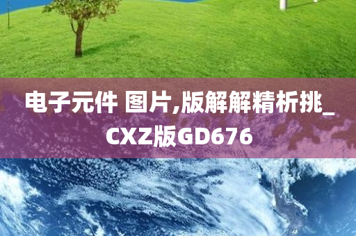 电子元件 图片,版解解精析挑_CXZ版GD676