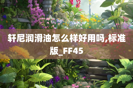 轩尼润滑油怎么样好用吗,标准版_FF45