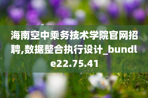 海南空中乘务技术学院官网招聘,数据整合执行设计_bundle22.75.41