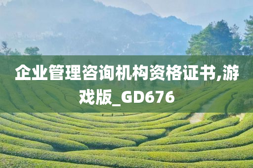 企业管理咨询机构资格证书,游戏版_GD676