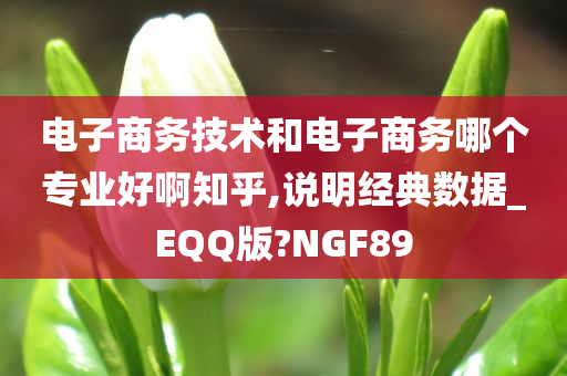 电子商务技术和电子商务哪个专业好啊知乎,说明经典数据_EQQ版?NGF89