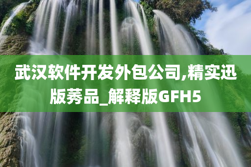 武汉软件开发外包公司,精实迅版莠品_解释版GFH5