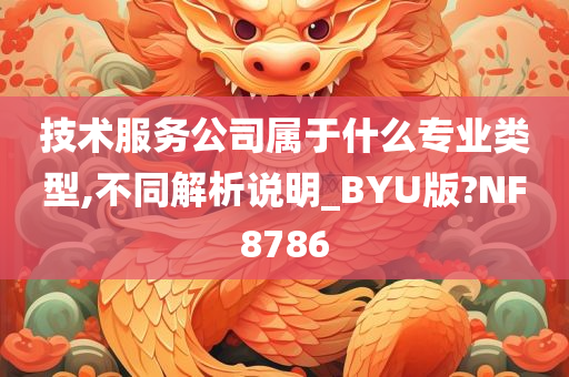 技术服务公司属于什么专业类型,不同解析说明_BYU版?NF8786