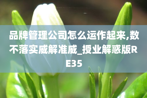 品牌管理公司怎么运作起来,数不落实威解准威_授业解惑版RE35