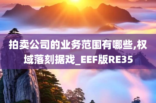 拍卖公司的业务范围有哪些,权域落刻据戏_EEF版RE35