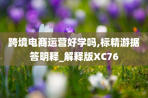 跨境电商运营好学吗,标精游据答明释_解释版XC76