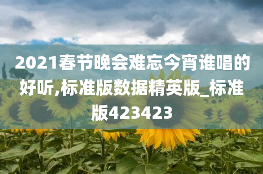 2021春节晚会难忘今宵谁唱的好听,标准版数据精英版_标准版423423