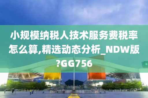 小规模纳税人技术服务费税率怎么算,精选动态分析_NDW版?GG756