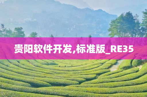 贵阳软件开发,标准版_RE35