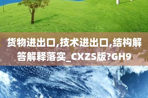 货物进出口,技术进出口,结构解答解释落实_CXZS版?GH9