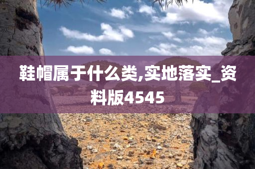 鞋帽属于什么类,实地落实_资料版4545