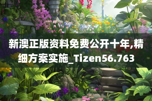 新澳正版资料免费公开十年,精细方案实施_Tizen56.763