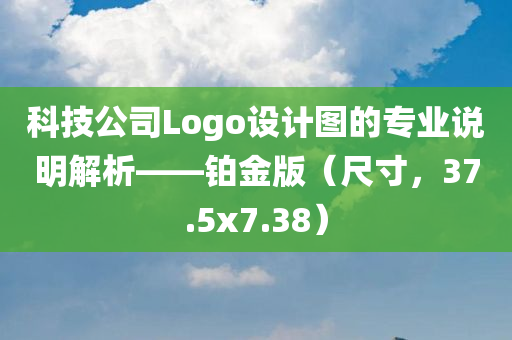 科技公司Logo设计图的专业说明解析——铂金版（尺寸，37.5x7.38）